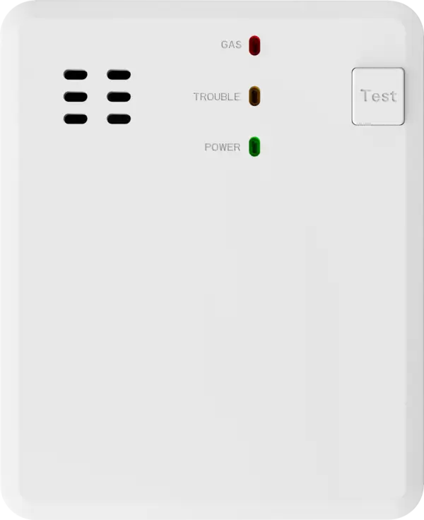 10 Years Battery Life Gas Detector